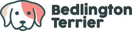 bedlington-terrier.com.pl